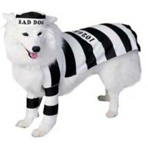 Bad Dog Prisoner Lock Up Rubies Pet Shop Dog Costume